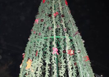 Abel Enrique Miranda Carmona en representación del alcalde de Los Cabos Oscar Leggs Castro, asistió al encendido del árbol navideño que se encuentra en el interior del tianguis de la colonia Las Palmas