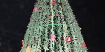Abel Enrique Miranda Carmona en representación del alcalde de Los Cabos Oscar Leggs Castro, asistió al encendido del árbol navideño que se encuentra en el interior del tianguis de la colonia Las Palmas