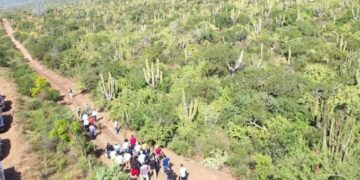 Esta mañana se llevó a la mesa el proyecto de construcción de 300 viviendas
