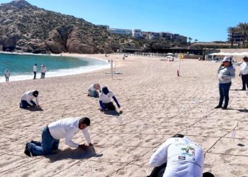 Auditores realizaron la supervisión de los 33 indicadores obligatorios para refrendar la certificación Blue Flag en las 17 playas que comprenden los litorales de Cabo San Lucas
