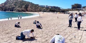 Auditores realizaron la supervisión de los 33 indicadores obligatorios para refrendar la certificación Blue Flag en las 17 playas que comprenden los litorales de Cabo San Lucas