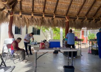Continúan impulsando Campañas de Esterilización Canina y Felina