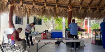 Continúan impulsando Campañas de Esterilización Canina y Felina