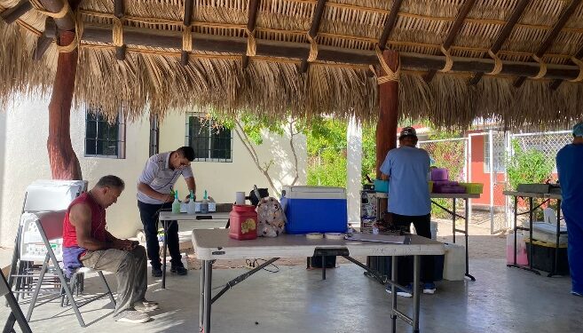 Continúan impulsando Campañas de Esterilización Canina y Felina