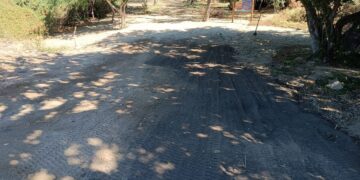 Exhorta a la ciudadanía y a hoteleros de la zona cercana al Estero Josefino, a evitar fuegos artificiales y pirotecnia por los daños que puedan generar en la flora y fauna del área natural protegida