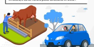 Continua siguen recibiendo los reportes de la ciudadanía sobre el tema de ganado suelto