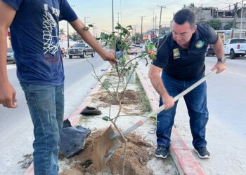 Campaña de reforestación