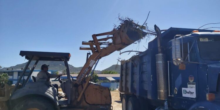 Intensifica las labores de limpieza en planteles educativos de este municipio