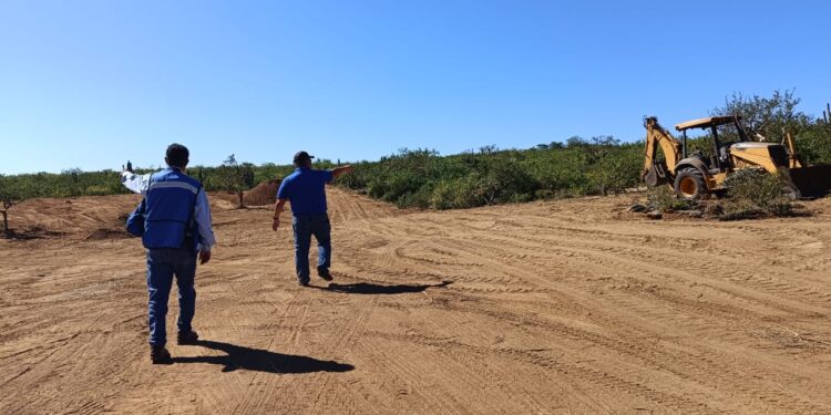 Cecilia Guadalupe González Salas, señaló que la dependencia a su cargo ejecuta trabajos permanentes de supervisión para certificar el cumplimiento a las leyes y lineamientos municipales en materia de proyectos de obra