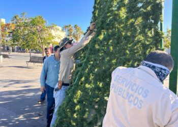 Dirección General de Servicios Públicos que encabeza Leonel Leyva Luna, empezó con los trabajos de instalación de adornos navideños en la plaza Teniente