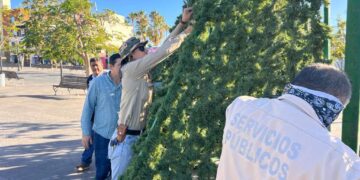 Dirección General de Servicios Públicos que encabeza Leonel Leyva Luna, empezó con los trabajos de instalación de adornos navideños en la plaza Teniente