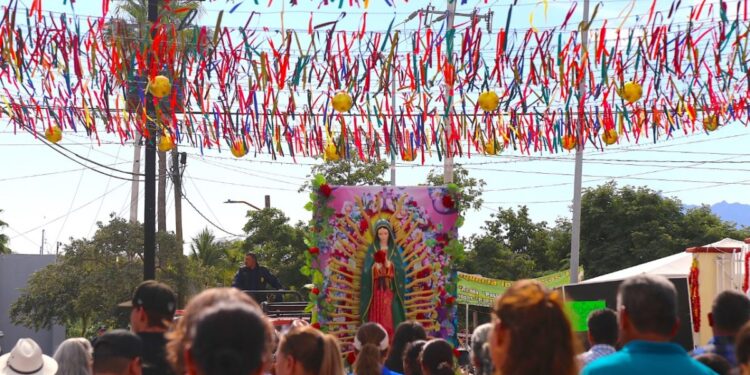 Se han implementado estrategias de seguridad que permitan garantizar la integridad de las personas caminantes.