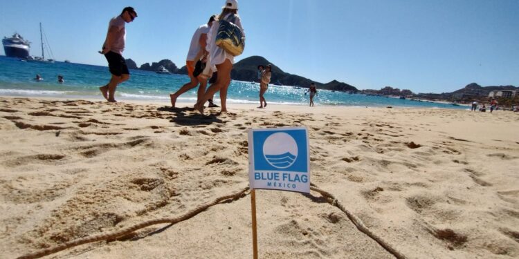 Se encuentran realizando los procedimientos correspondientes de auditoría para la temporada 2023-2024.