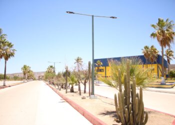 Inicia el periodo vacacional de invierno en la UABCS