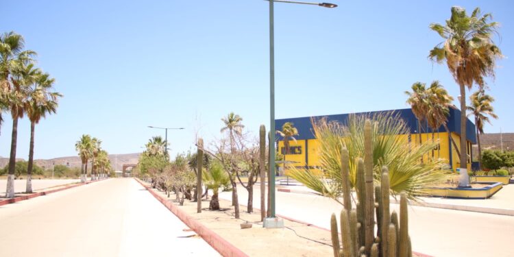 Inicia el periodo vacacional de invierno en la UABCS