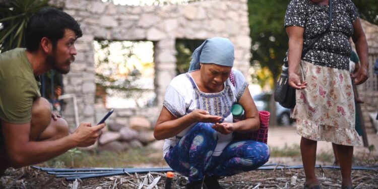 Beneficiadas 23 familias con los Huertos de Traspatio Yukú Kuúy