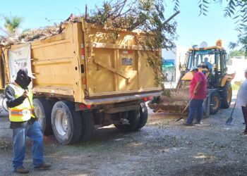 Continúa Servicios Públicos recolectando residuos en colonias de la ciudad