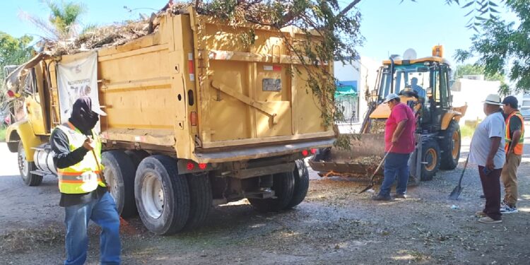 Continúa Servicios Públicos recolectando residuos en colonias de la ciudad