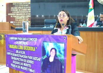 Que se investiguen y juzguen  feminicidios con perspectiva de género: diputadas Teresita Valentín y Gabriela Cisneros