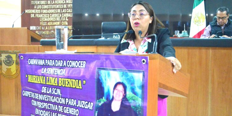 Que se investiguen y juzguen  feminicidios con perspectiva de género: diputadas Teresita Valentín y Gabriela Cisneros