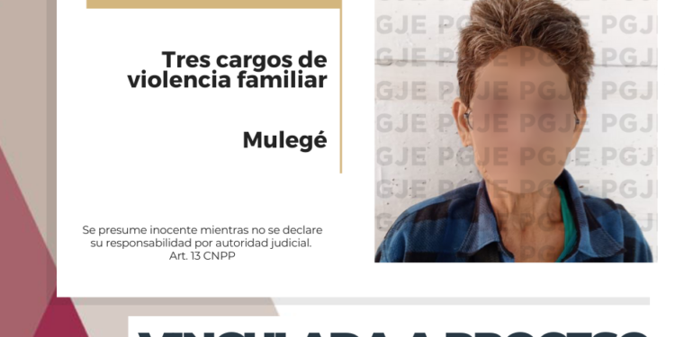 QUEDA VINCULADA A PROCESO POR 3 CARGOS DE VIOLENCIA FAMILIAR