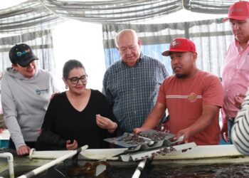 ANUNCIA GOBERNADOR VCC, IMPORTANTES OBRAS PARA ISLA NATIVIDAD, BAHÍA TORTUGAS Y PUNTA EUGENIA