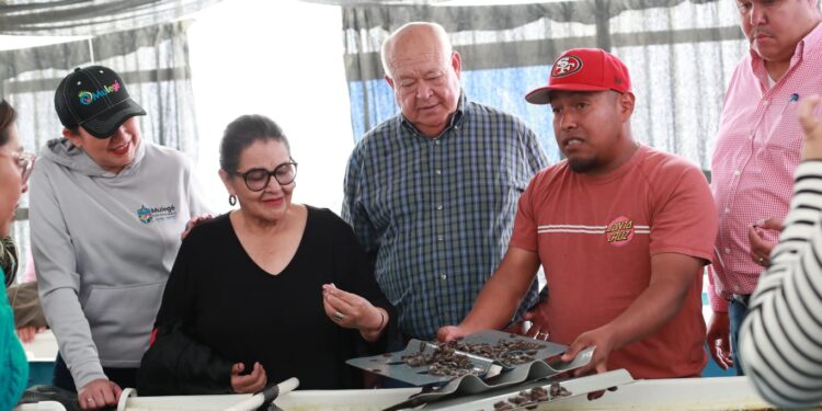 ANUNCIA GOBERNADOR VCC, IMPORTANTES OBRAS PARA ISLA NATIVIDAD, BAHÍA TORTUGAS Y PUNTA EUGENIA