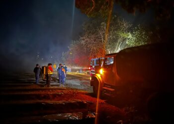 Controlado al 100 por ciento incendio forestal en Todos Santos