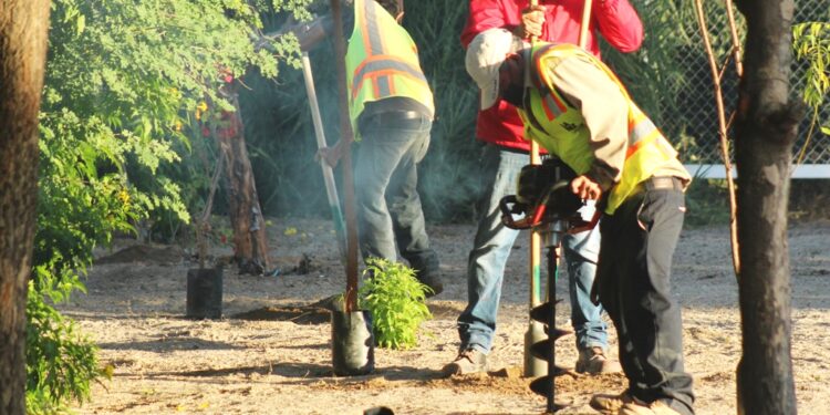 Implementa Servicios Públicos el programa “Pulmones Urbanos”