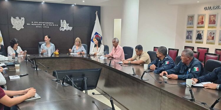 Invita Ayuntamiento al 2do. Festival de la Tortuga Marina en Todos Santos