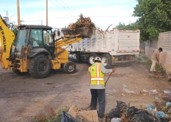 Recolecta Servicios Públicos más de 256 toneladas de basura en vialidades