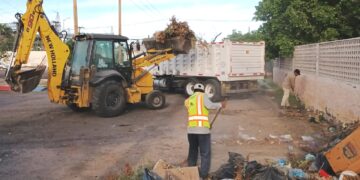 Recolecta Servicios Públicos más de 256 toneladas de basura en vialidades