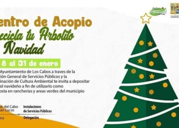 La XIV Administración que encabeza Oscar Leggs Castro ha habilitado Centros de Acopio para reciclar los arbolitos de navidad