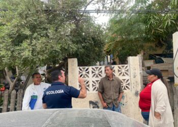 Coordinación Municipal de Pro-Animal Los Cabos llevarán a cabo tres campañas de Esterilización Canina y Felina