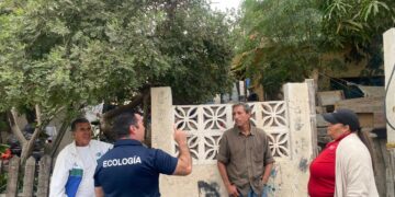 Coordinación Municipal de Pro-Animal Los Cabos llevarán a cabo tres campañas de Esterilización Canina y Felina