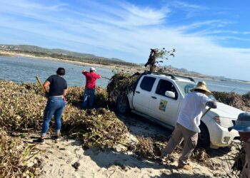 Se obtuvo la adquisición de equipo para combatir incendios forestales así como unidades motoras para fortalecer el Programa Municipal de Protección a la Tortuga Marina. 