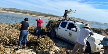Se obtuvo la adquisición de equipo para combatir incendios forestales así como unidades motoras para fortalecer el Programa Municipal de Protección a la Tortuga Marina. 
