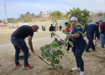 Campaña de reforestación, conservación y limpieza en la cancha de la colonia Santa Rosa