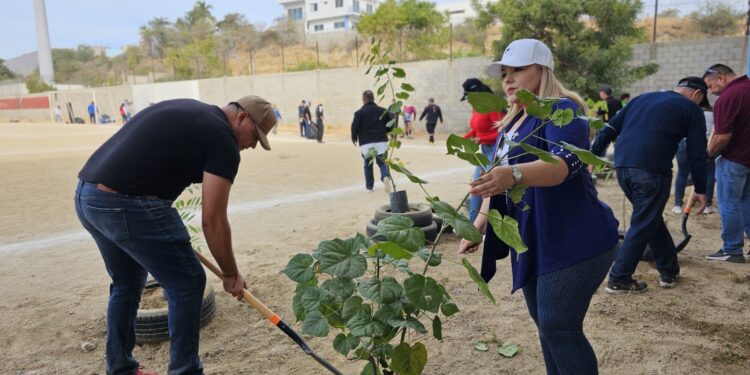 Campaña de reforestación, conservación y limpieza en la cancha de la colonia Santa Rosa