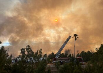 Directora municipal de Protección Civil Leticia Rivera Adelantó que dicho incendio fue provocado, por lo que es importante conocer los motivos y dar con las personas responsables