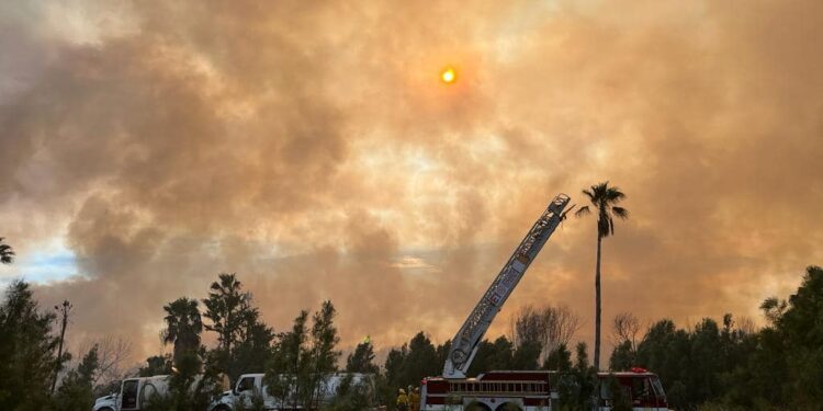 Directora municipal de Protección Civil Leticia Rivera Adelantó que dicho incendio fue provocado, por lo que es importante conocer los motivos y dar con las personas responsables