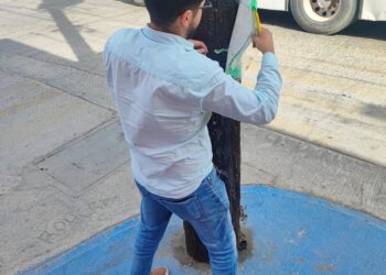 A fin de recuperar espacios públicos y combatir la publicidad invasiva en la vialidades de Cabo San Lucas se retiraran 2 o 3 veces por semana propaganda eventual