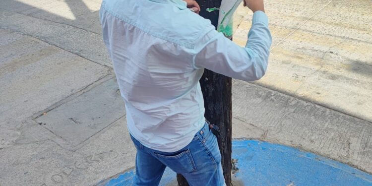 A fin de recuperar espacios públicos y combatir la publicidad invasiva en la vialidades de Cabo San Lucas se retiraran 2 o 3 veces por semana propaganda eventual