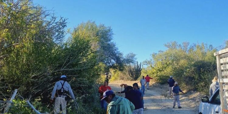 Refuerza Servicios Públicos jornadas de limpieza en la delegación de Santiago