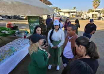 Para concluir con la Semana de la Educación Ambiental y conmemorar el Día Mundial de Educación Ambiental, personal de la Dirección General de Servicios Públicos efectuó este viernes la entrega de bolsas ecológicas