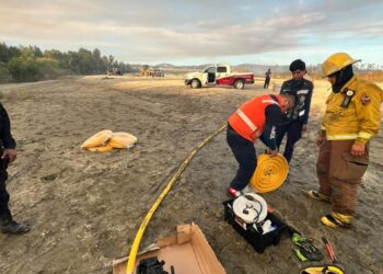 Reserva Ecológica Estatal Estero San José del Cabo fueron los principales actores para la liquidación y combate directo en el lugar del siniestro