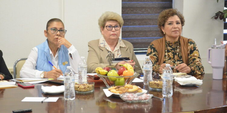 Analiza la Comisión de La Salud, La Familia y la Asistencia Pública el proyecto del Centro Oncológico de Los Cabos