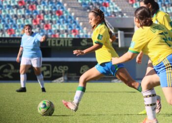 DEFINE INSUDE FECHAS DE LA ETAPA ESTATAL RUMBO A LOS NACIONALES CONADE 2024. 