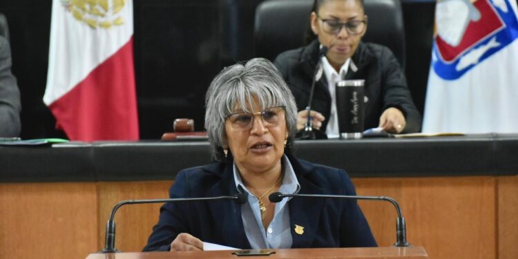 Salario mínimo ha incrementado 113% de 2019 a 2024: Diputada María Luisa Trejo 