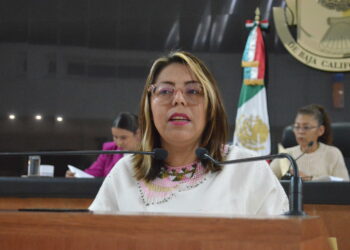 Llaman a la titular de SEMARNAT a otorgar permisos a usuarios para el avistamiento de ballenas 